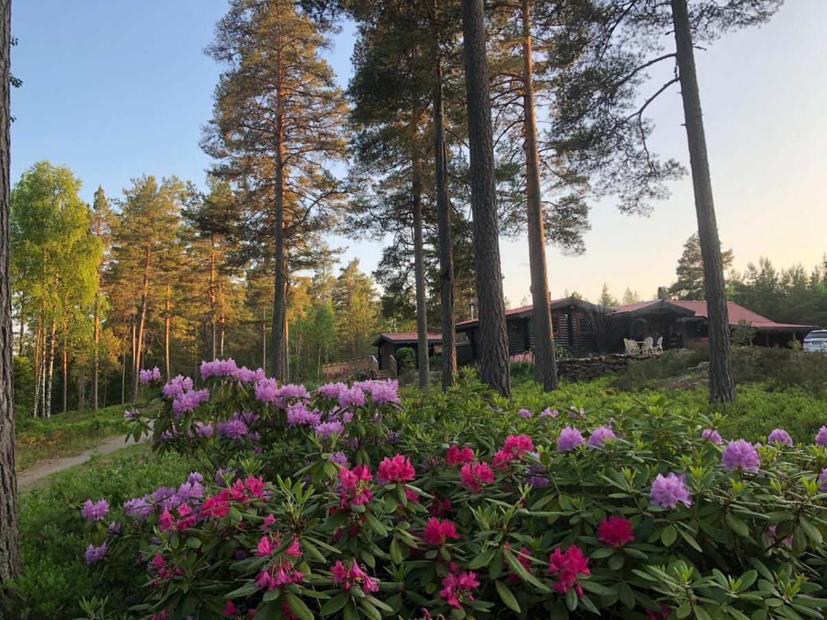 Timber Cottages With Jacuzzi And Sauna Near Lake Vaenern 카를스타 외부 사진